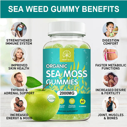 60PCS Natural Irish Sea Moss Gummies