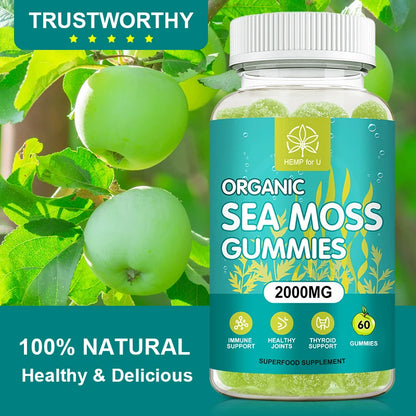 60PCS Natural Irish Sea Moss Gummies
