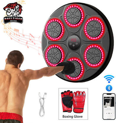 Wall Mounted Music Boxing Target Trainer